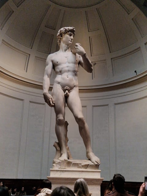 Explore Accademia Gallery on Free Museum Day - Accessibility and practical comfort