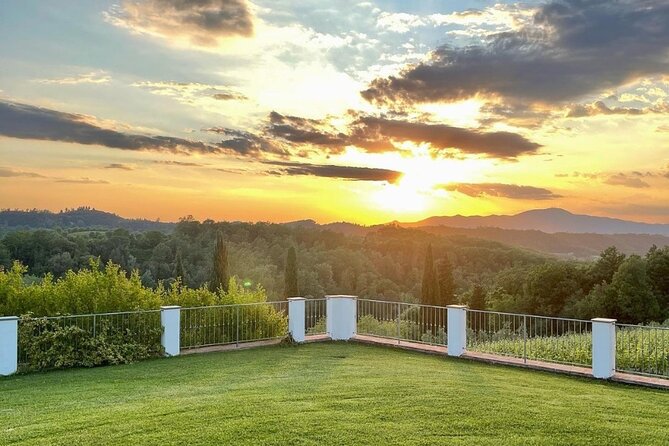 Farm To table Experience on an organic hilltop estate in Tuscany - Estate wine, olive oil, and lunch at the table