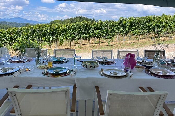 Farm To table Experience on an organic hilltop estate in Tuscany - The infinity pool changes the pace