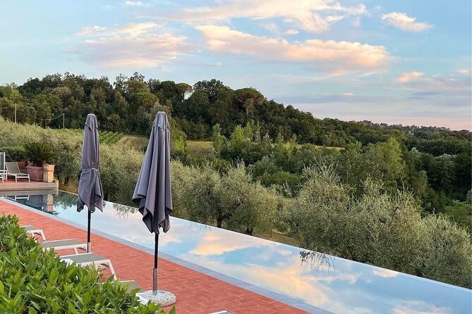Farm To table Experience on an organic hilltop estate in Tuscany - What makes this day different from a standard Tuscany tour