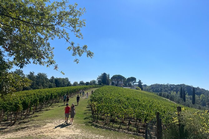 Farm To table Experience on an organic hilltop estate in Tuscany - Arriving at Agriturismo Tenuta Chiudendone