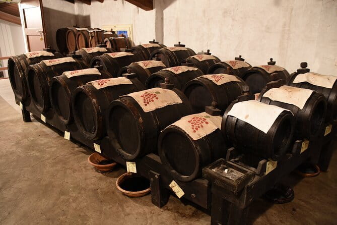 Ferrari Parmesan Cheese Balsamic Vinegar wine & food PRIVATE TOUR from FLORENCE - Lunch and a glass of Lambrusco