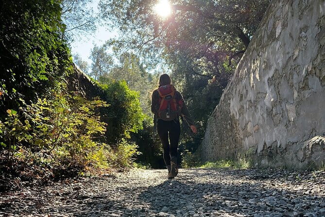 Fiesole Hike & Italian Aperitivo - Walking Through Olive Groves and Tuscan Countryside