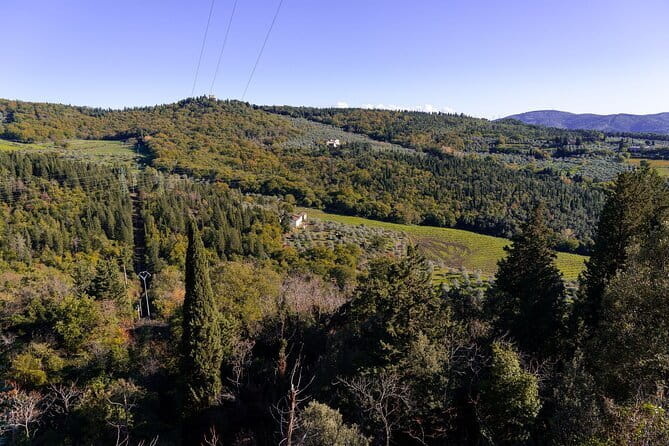 Fiesole Hike & Italian Aperitivo - Aperitivo with Tuscan Wine and Local Products