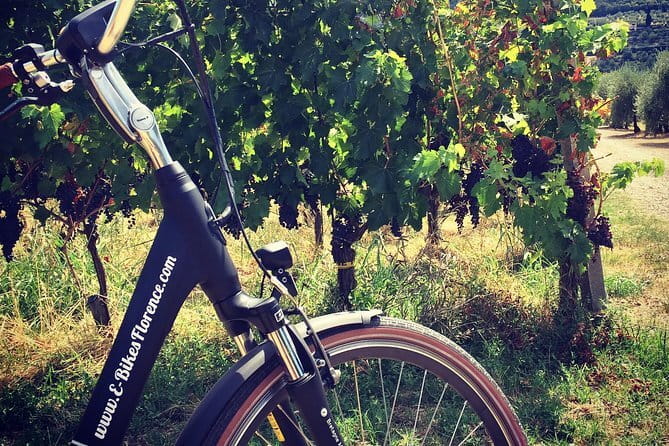 Fiesole: Tuscan Countryside Half Day E-Bike Tour & Farm visit - The road toward Montesenario