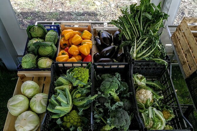 Fiesole: Tuscan Countryside Half Day E-Bike Tour & Farm visit - How much work is the e-bike really?