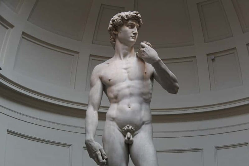 Florence: Accademia David Fast Track Skip the Line Tour - Meeting at Via Guelfa 12 Red