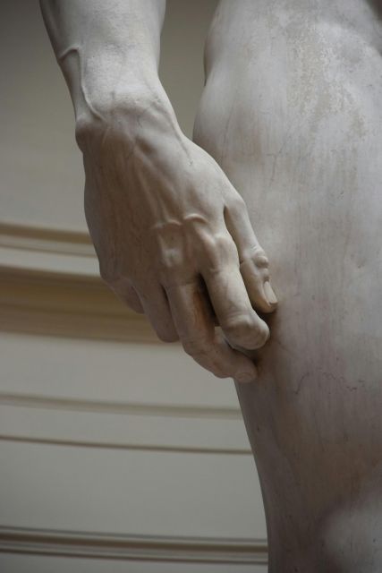 Florence: Accademia Gallery Entry Ticket & David Guided Tour - Small group or private visit