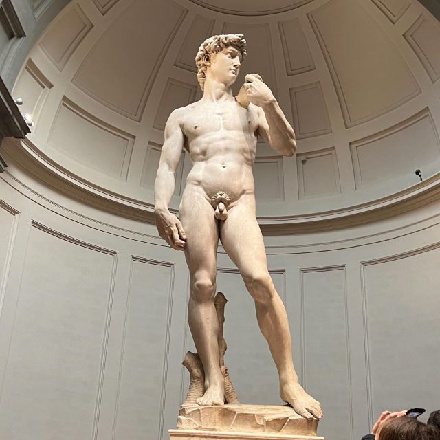Florence: Accademia Gallery Guided Tour and Priority Entry - The value of one hour for $81