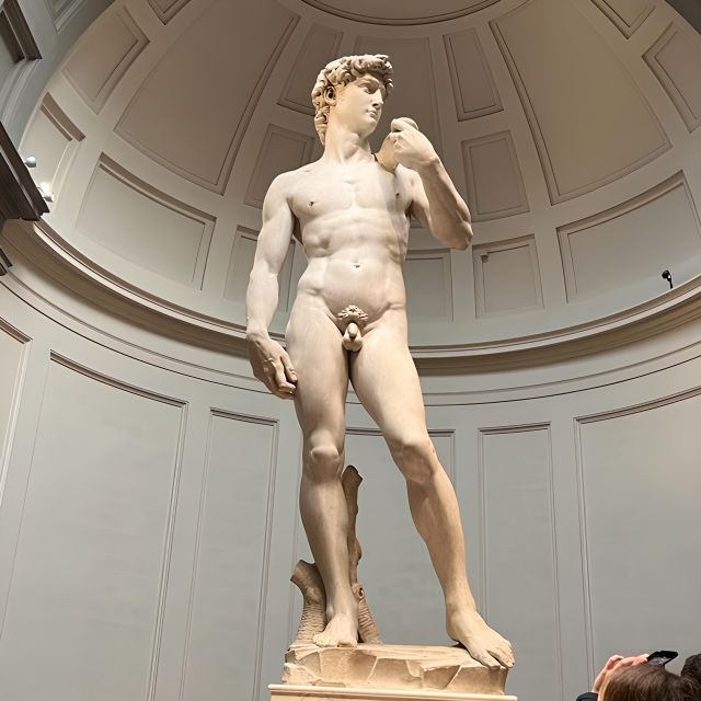 Florence: Accademia Reserved Ticket & Michelangelo's David - Key points to know before you book