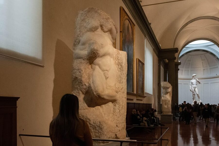 Florence: Accademia Ticket & Audio Guided Tour with Host - More than David: Giambologna and the other works