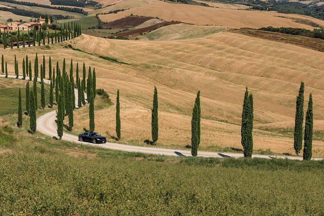 Florence Airport Private Departure Transfer - Is $53.10 Per Person Good Value?