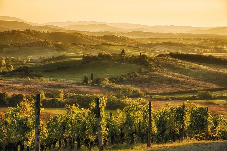 Florence/Badesse: Tuscany Group Vespa Tour with Wine Tasting - A few drawbacks worth weighing