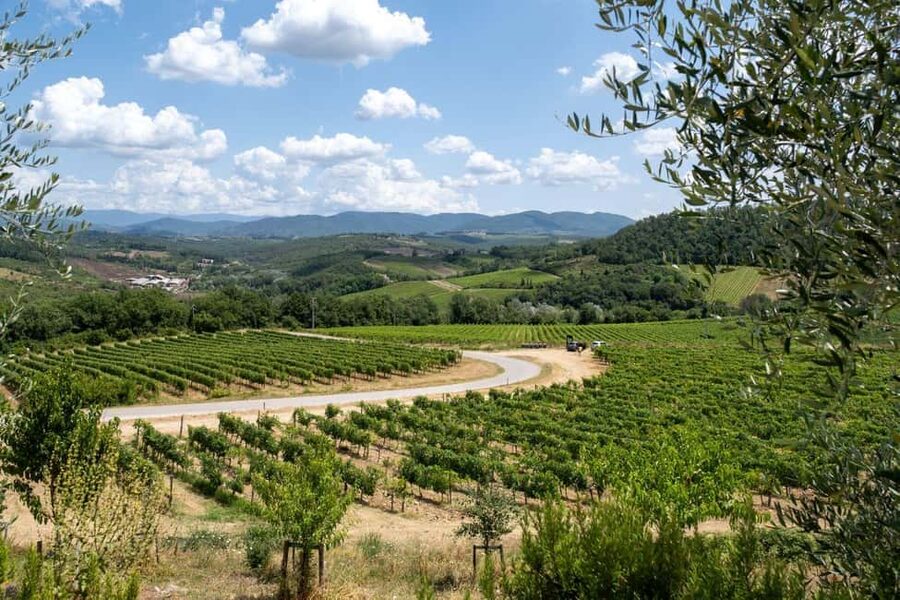 Florence: Chianti E-Bike Tour with Wine Tasting and Lunch - Impruneta lunch and biological wine tasting