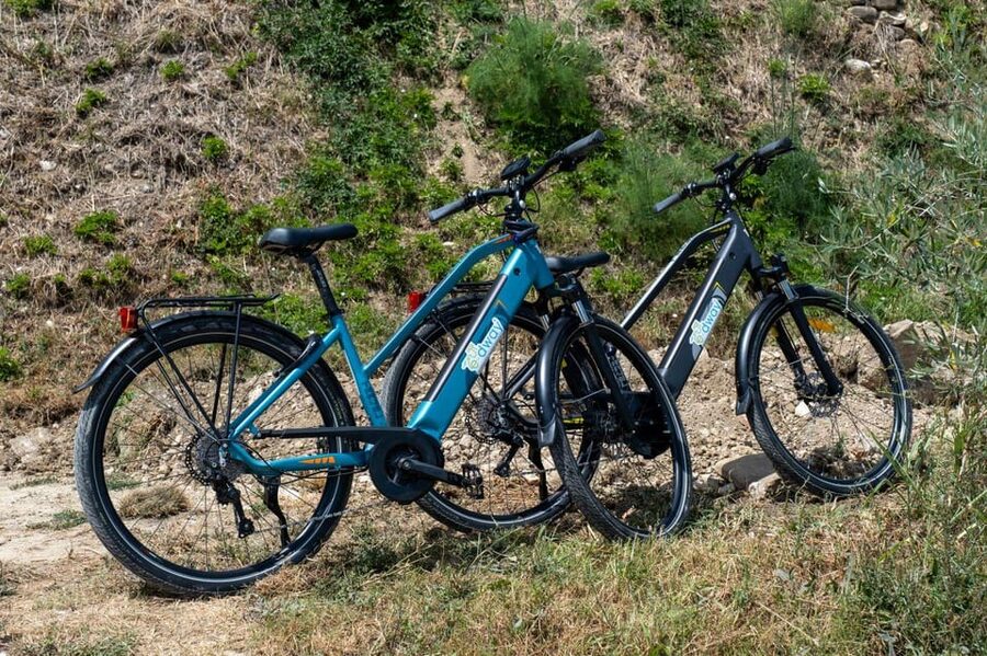 Florence: Chianti E-Bike Tour with Wine Tasting and Lunch - FAQ