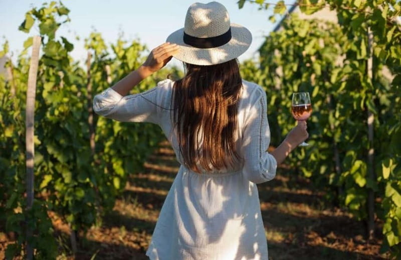 Florence: Chianti Vineyards Tour with Wine Tasting & Dinner - Leaving Florence for the Chianti hills
