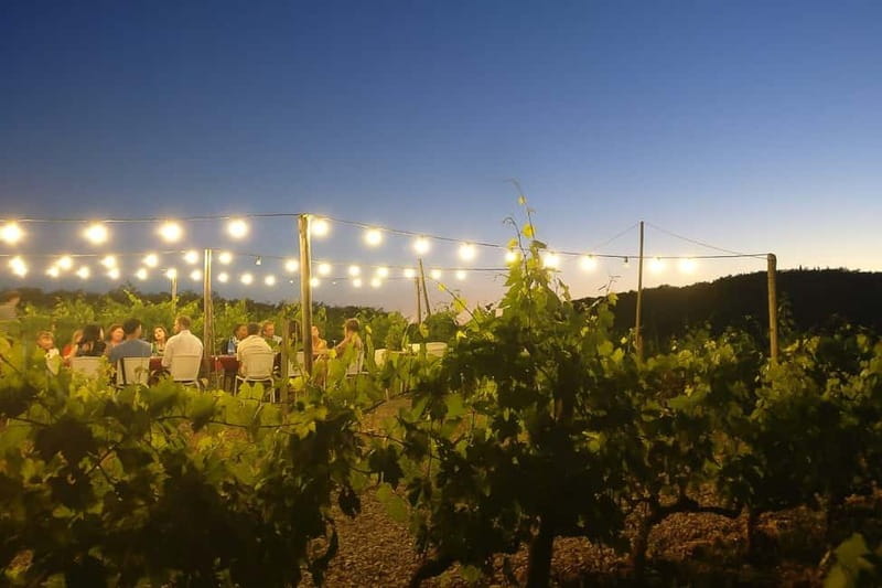 Florence: Chianti Vineyards Tour with Wine Tasting & Dinner - Dinner under candles and torches