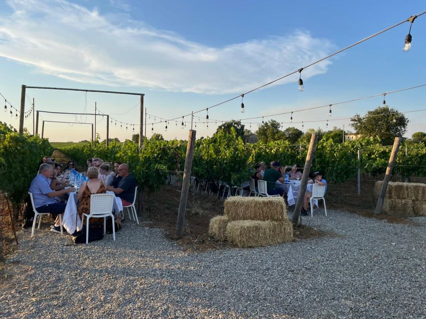 Florence: Chianti Vineyards Tour with Wine Tasting & Dinner - What the $123.48 price includes