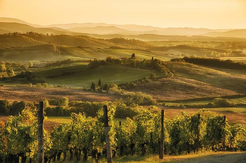 Florence: Chianti Vineyards Tour with Wine Tasting & Dinner - Food restrictions, stairs, and group comfort