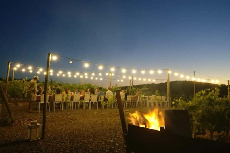 Florence: Chianti Vineyards Tour with Wine Tasting & Dinner - Who will enjoy this Chianti evening most?