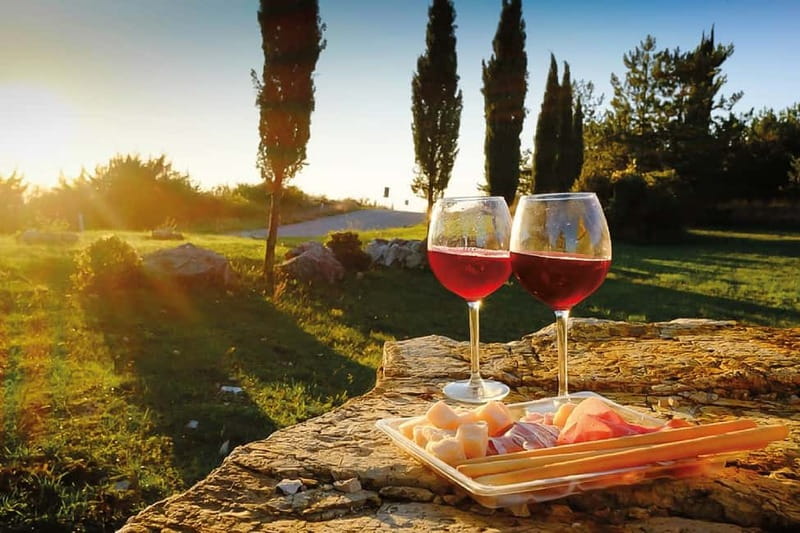 Florence: Chianti Vineyards Tour with Wine Tasting & Dinner - The estate tour and first tasting