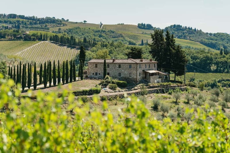 Florence: Chianti Wineries Tour with Wine Tasting - First winery: wine, barrels, and Tuscan snacks