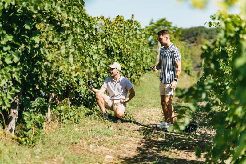 Florence: Chianti Wineries Tour with Wine Tasting - What the food and wine tasting really include
