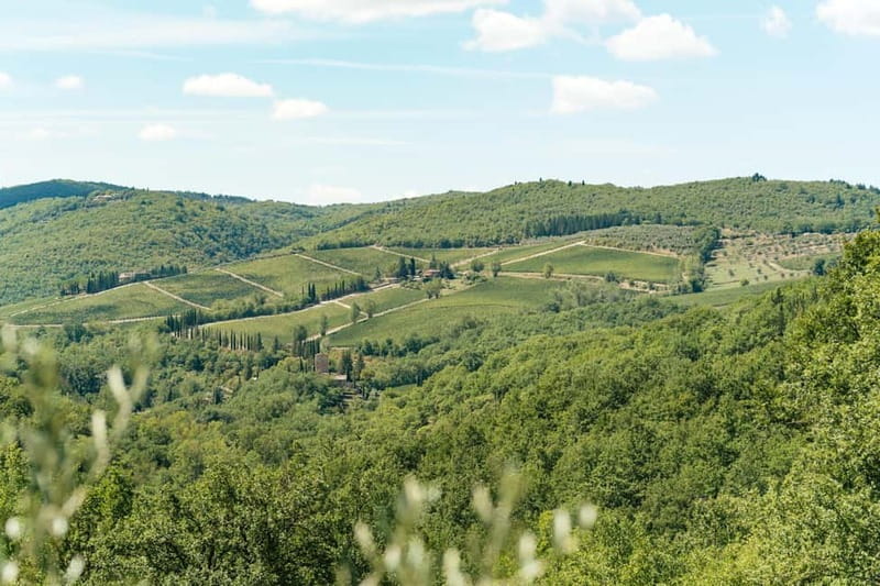 Florence: Chianti Wineries Tour with Wine Tasting - Who should book this Chianti experience