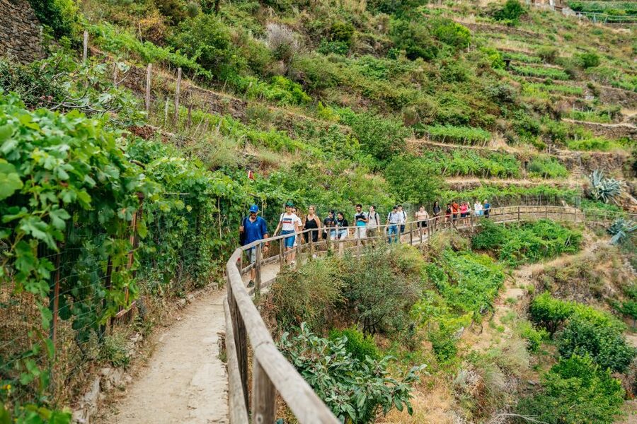 Florence: Cinque Terre Day Trip with Optional Hike - Key points to know before booking