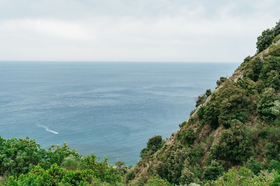 Florence: Cinque Terre Day Trip with Optional Hike - The Corniglia to Vernazza hike