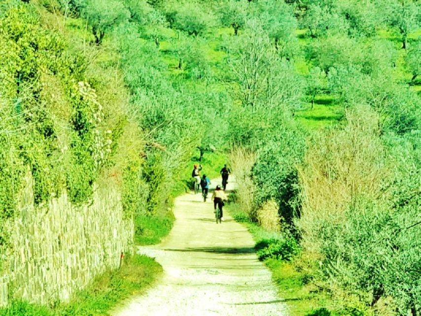 Florence: Country Ebike tour + Wine tasting in organic farm - Returning beside the Arno River
