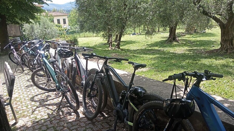 Florence: Country Ebike tour + Wine tasting in organic farm - What the $168.79 price includes