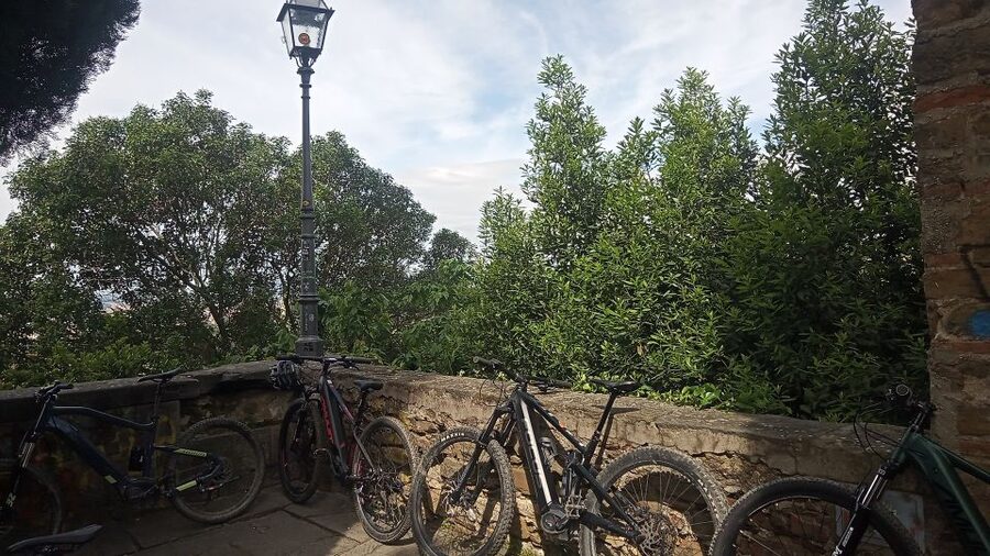 Florence: Country Ebike tour + Wine tasting in organic farm - Timing, languages, and practical details