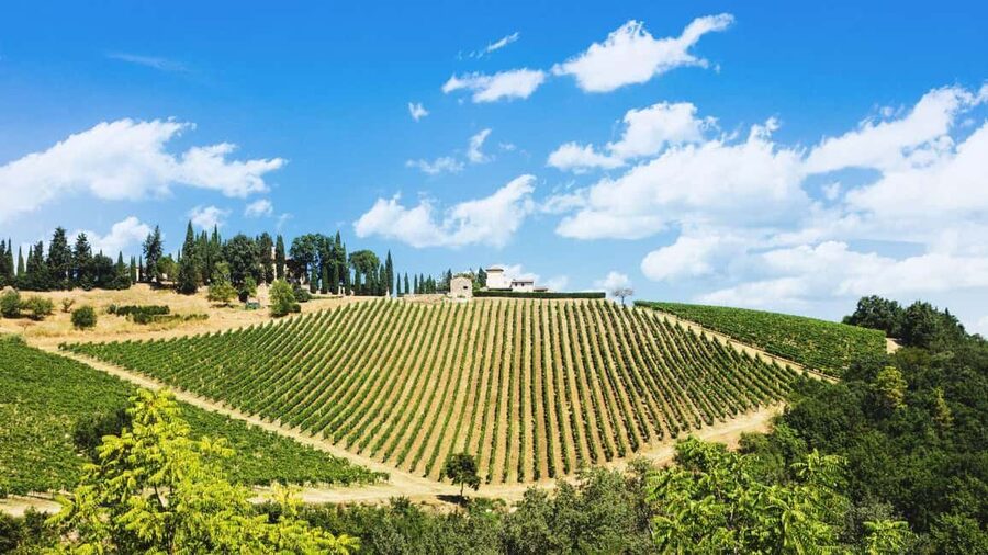 Florence Countryside 2.5h Premium E-Bike Tour + Photo Shoot - Piazzale Michelangelo and San Miniato al Monte