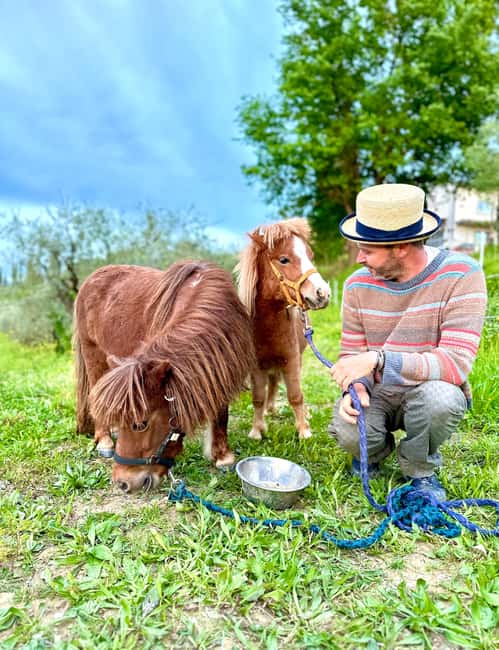 Florence: Countryside Tour with Wine Tasting & Pasta Class - From Florence to a Fucecchio farm