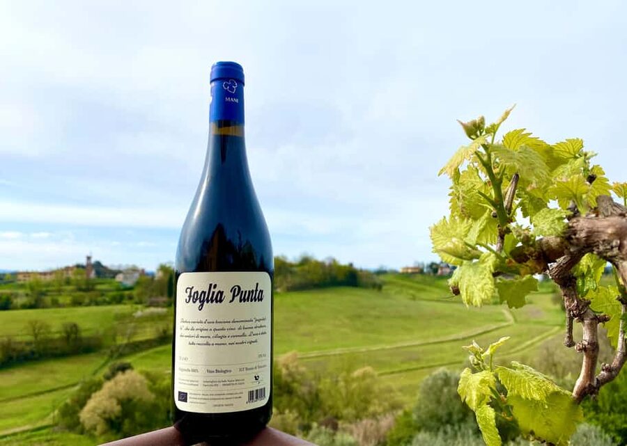 Florence: Countryside Tour with Wine Tasting & Pasta Class - Is $71 a good value?