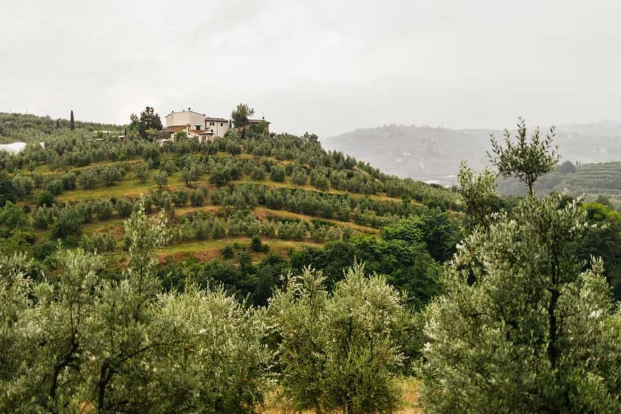Florence: Countryside Vintage Fiat 500 Driving Tour - Why a little Fiat is the right way to see Tuscany