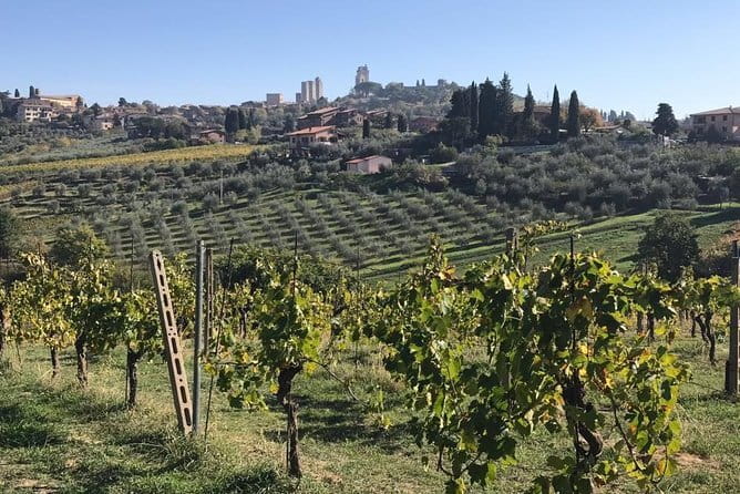 Florence Day Trip to Volterra and San Gimignano - Choosing between a walk and a museum in Volterra