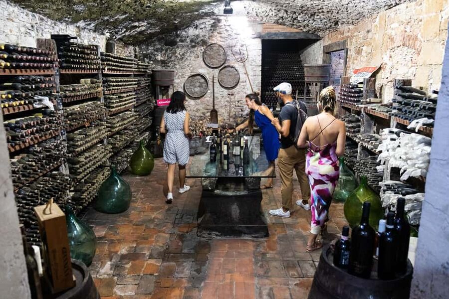 Florence: Exclusive Chianti Wine Tour at 3 Wineries & Lunch - The small-group format and practical limits