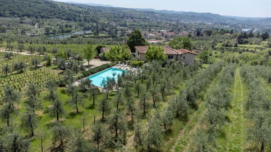 Florence: Fiesole E-Bike Tour with Olive Oil Tasting - The olive mill and the taste of Tuscan oil