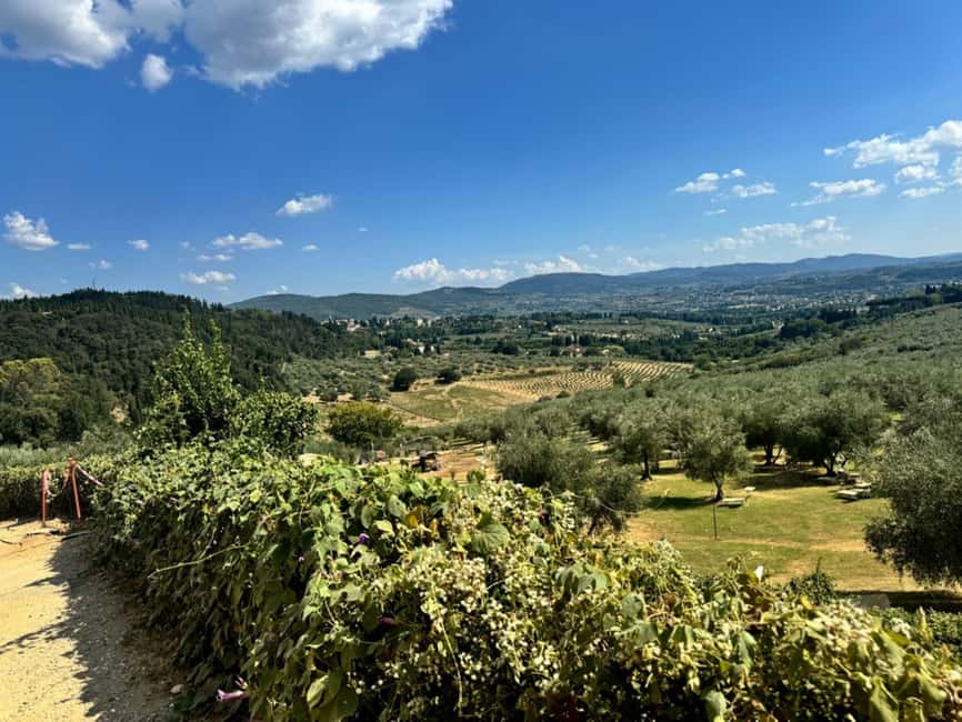 Florence: Fiesole E-Bike Tour with Olive Oil Tasting - Should you book the Fiesole e-bike tour?