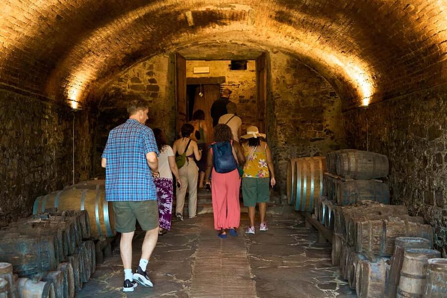 Florence: Great Chianti Wine and Olive Oil Trail with Lunch - Greve in Chianti and a medieval pause