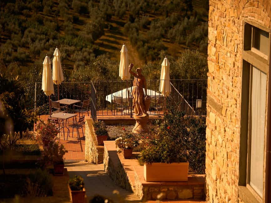 Florence: Great Chianti Wine and Olive Oil Trail with Lunch - Standard tour or semi-private upgrade?