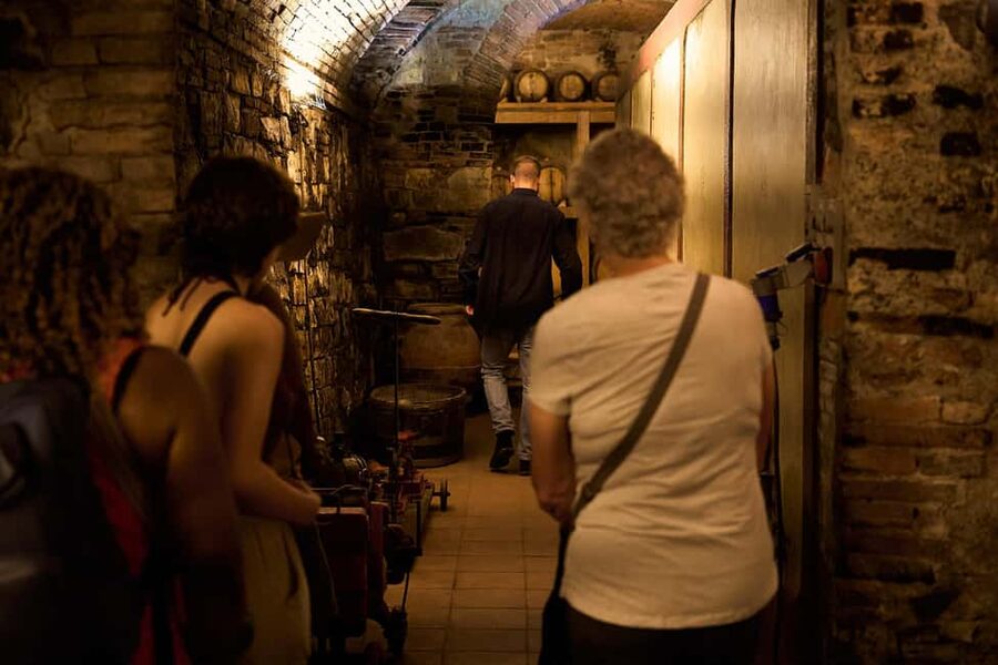 Florence: Great Chianti Wine and Olive Oil Trail with Lunch - Is $89.50 a good value?
