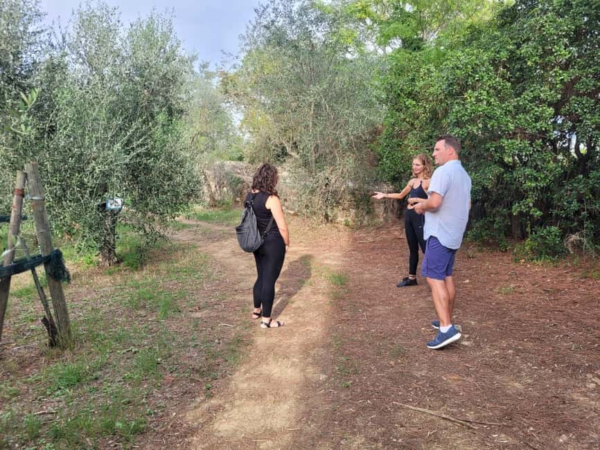 Florence: Half-Day Tuscan Countryside E-bike Tour with Wine - San Miniato al Monte and the city view