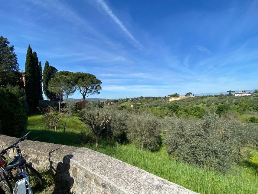 Florence: Half-Day Tuscan Countryside E-bike Tour with Wine - The olive-oil farm and Tuscan tasting