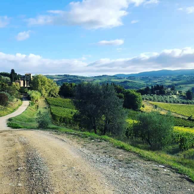 Florence: Hiking Tuscany & Chianti wine 3 wineries and lunch - Key points to know before booking
