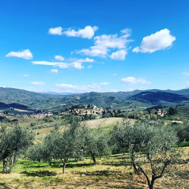 Florence: Hiking Tuscany & Chianti wine 3 wineries and lunch - Who should book this experience?