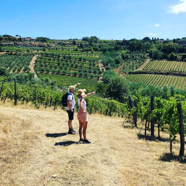 Florence: Hiking Tuscany & Chianti wine 3 wineries and lunch - Why this Chianti day feels different from a standard wine tour