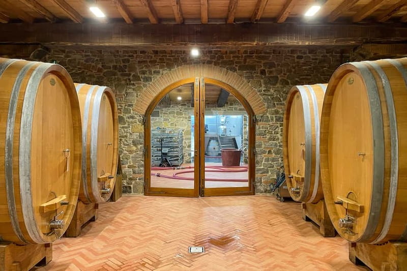 Florence: Hiking Tuscany & Chianti wine 3 wineries and lunch - Walking through Panzano and the Conca d’Oro